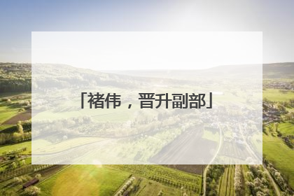 褚伟，晋升副部