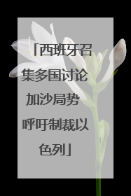 西班牙召集多国讨论加沙局势 呼吁制裁以色列
