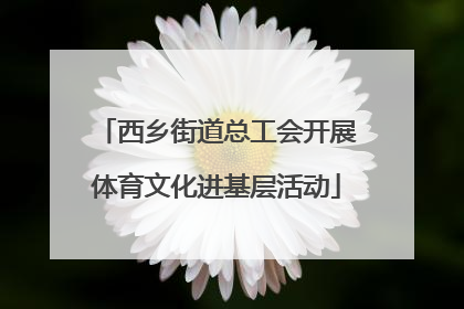 西乡街道总工会开展体育文化进基层活动
