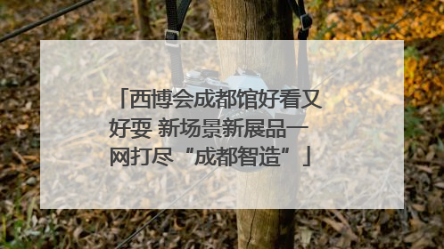 西博会成都馆好看又好耍 新场景新展品一网打尽“成都智造”
