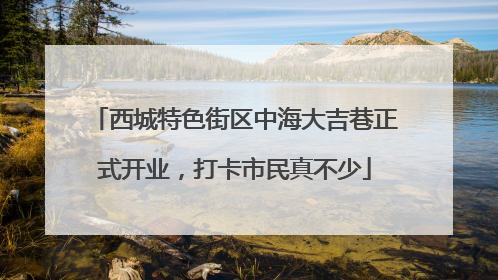 西城特色街区中海大吉巷正式开业，打卡市民真不少