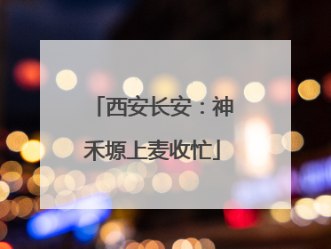 西安长安：神禾塬上麦收忙