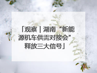观察｜湖南“新能源机车供需对接会”释放三大信号