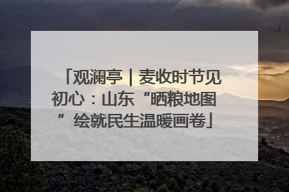 观澜亭｜麦收时节见初心：山东“晒粮地图”绘就民生温暖画卷