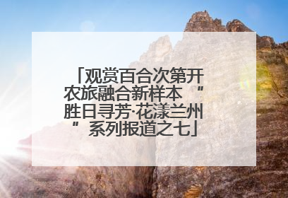观赏百合次第开 农旅融合新样本 “胜日寻芳·花漾兰州”系列报道之七