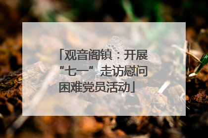 观音阁镇：开展“七一”走访慰问困难党员活动