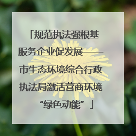 规范执法强根基 服务企业促发展——市生态环境综合行政执法局激活营商环境“绿色动能”