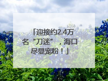 迎接约2.4万名“刀迷”，海口尽显宠粉！