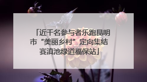 近千名参与者乐跑昆明市“美丽乡村”定向集结赛滇池绿道福保站