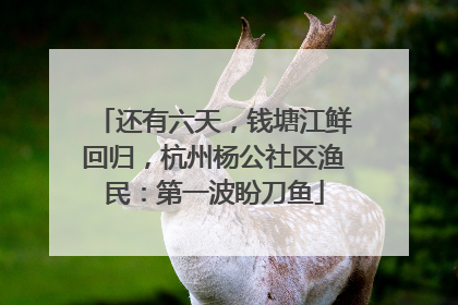 还有六天，钱塘江鲜回归，杭州杨公社区渔民：第一波盼刀鱼