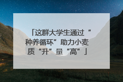 这群大学生通过“种养循环”助力小麦质“升”量“高”