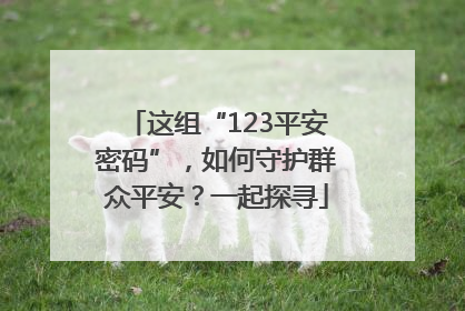 这组“123平安密码”，如何守护群众平安？一起探寻