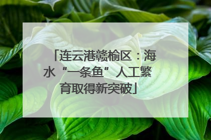 连云港赣榆区：海水“一条鱼”人工繁育取得新突破