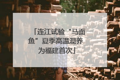 连江试验“马面鱼”夏季高温混养 为福建首次