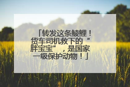 转发这条鲮鲤！货车司机救下的“胖宝宝”，是国家一级保护动物！