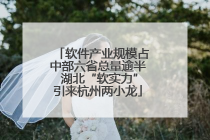 软件产业规模占中部六省总量逾半 湖北“软实力”引来杭州两小龙