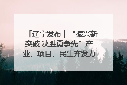 辽宁发布｜“振兴新突破 决胜勇争先”产业、项目、民生齐发力 葫芦岛按下决胜之年“加速键”