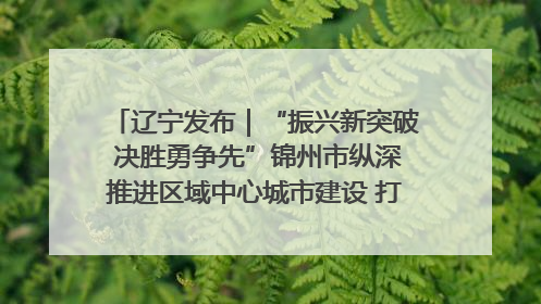 辽宁发布｜“振兴新突破 决胜勇争先”锦州市纵深推进区域中心城市建设 打造高质量发展新增长极