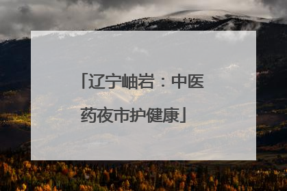辽宁岫岩：中医药夜市护健康