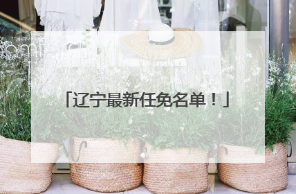 辽宁最新任免名单！