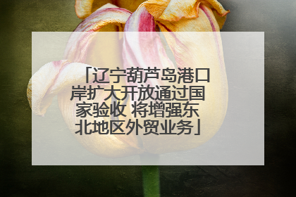 辽宁葫芦岛港口岸扩大开放通过国家验收 将增强东北地区外贸业务