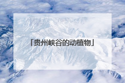 贵州峡谷的动植物