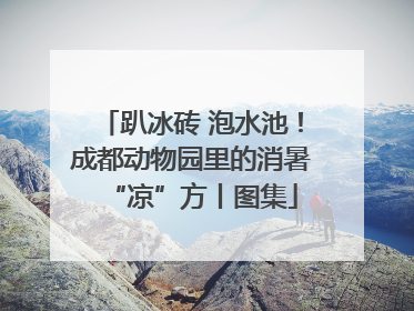 趴冰砖 泡水池！成都动物园里的消暑“凉”方丨图集