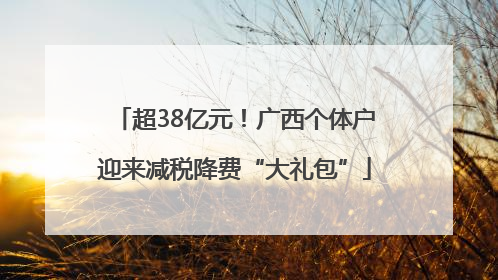 超38亿元！广西个体户迎来减税降费“大礼包”