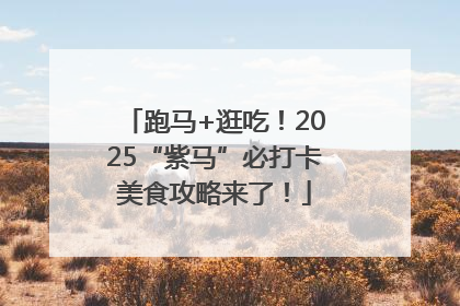 跑马+逛吃！2025“紫马”必打卡美食攻略来了！