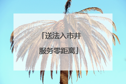 送法入市井 服务零距离