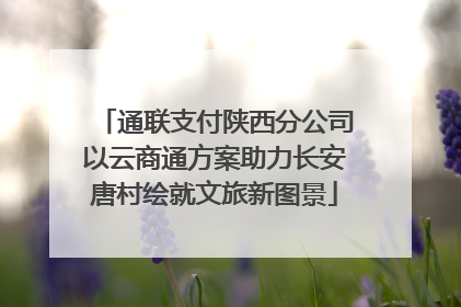 通联支付陕西分公司以云商通方案助力长安唐村绘就文旅新图景