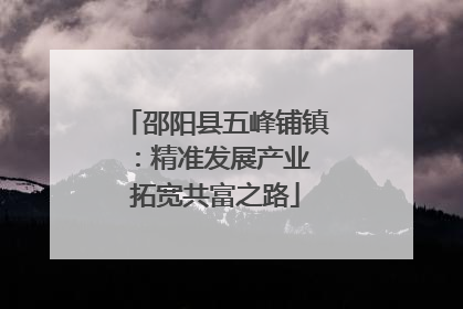 邵阳县五峰铺镇：精准发展产业 拓宽共富之路