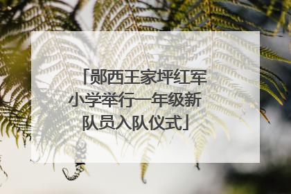 郧西王家坪红军小学举行一年级新队员入队仪式