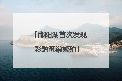 鄱阳湖首次发现彩鹮筑巢繁殖