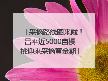 采摘路线图来啦！昌平近5000亩樱桃迎来采摘黄金期