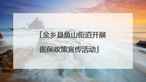 金乡县鱼山街道开展医保政策宣传活动