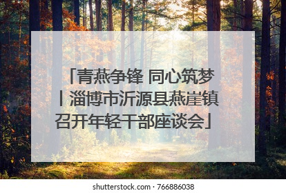 青燕争锋 同心筑梦丨淄博市沂源县燕崖镇召开年轻干部座谈会