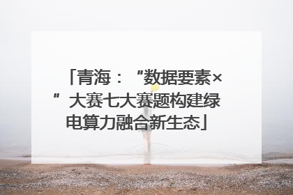 青海：“数据要素×”大赛七大赛题构建绿电算力融合新生态