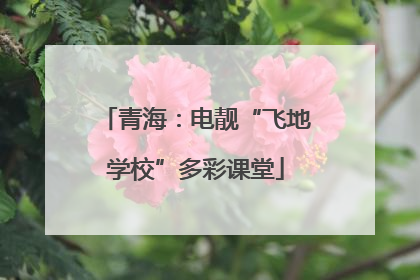青海：电靓“飞地学校”多彩课堂