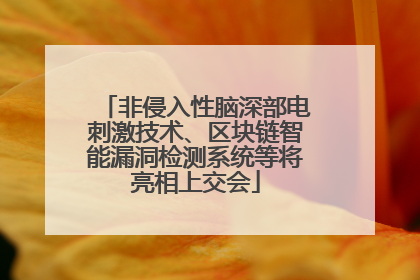 非侵入性脑深部电刺激技术、区块链智能漏洞检测系统等将亮相上交会