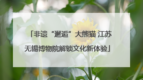 非遗“邂逅”大熊猫 江苏无锡博物院解锁文化新体验