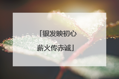银发映初心 薪火传赤诚