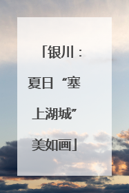 银川：夏日“塞上湖城”美如画