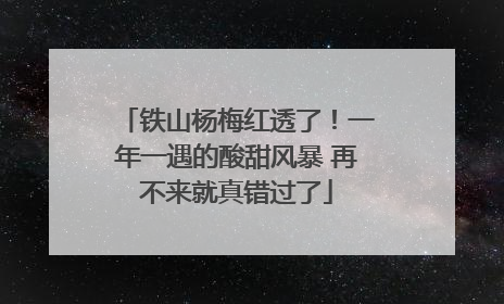 铁山杨梅红透了！一年一遇的酸甜风暴 再不来就真错过了