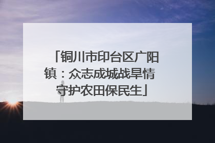 铜川市印台区广阳镇：众志成城战旱情 守护农田保民生