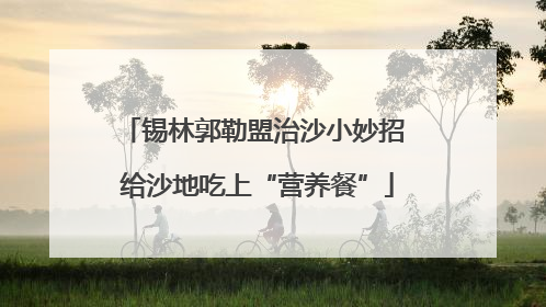 锡林郭勒盟治沙小妙招 给沙地吃上“营养餐”
