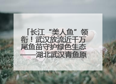 长江“美人鱼”领衔！武汉放流近千万尾鱼苗守护绿色生态——湖北武汉青鱼原种场参加2025年“全国放鱼日”增殖放流活动
