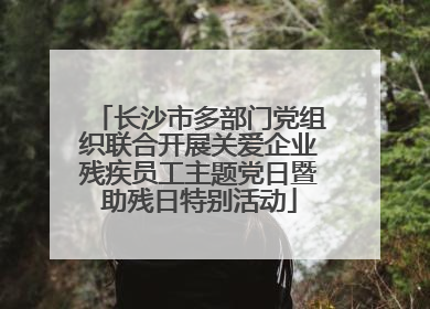 长沙市多部门党组织联合开展关爱企业残疾员工主题党日暨助残日特别活动