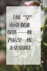 闻“旱”而动 保灌保供——陕西抗旱一线走访见闻