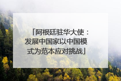 阿根廷驻华大使：发展中国家以中国模式为范本应对挑战